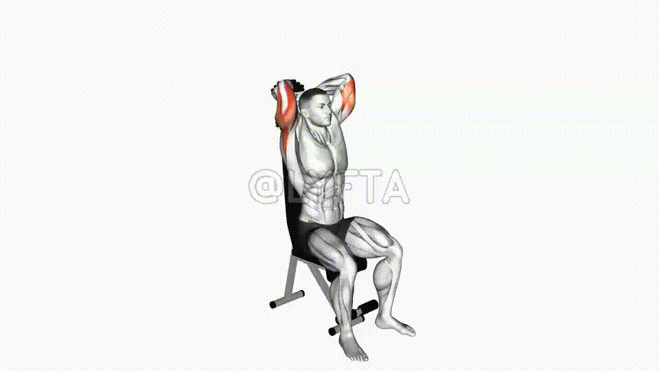 坐姿哑铃颈后臂屈伸