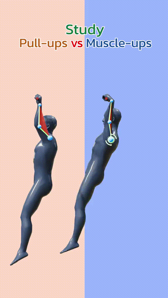 pull-up-vs-muscle-up